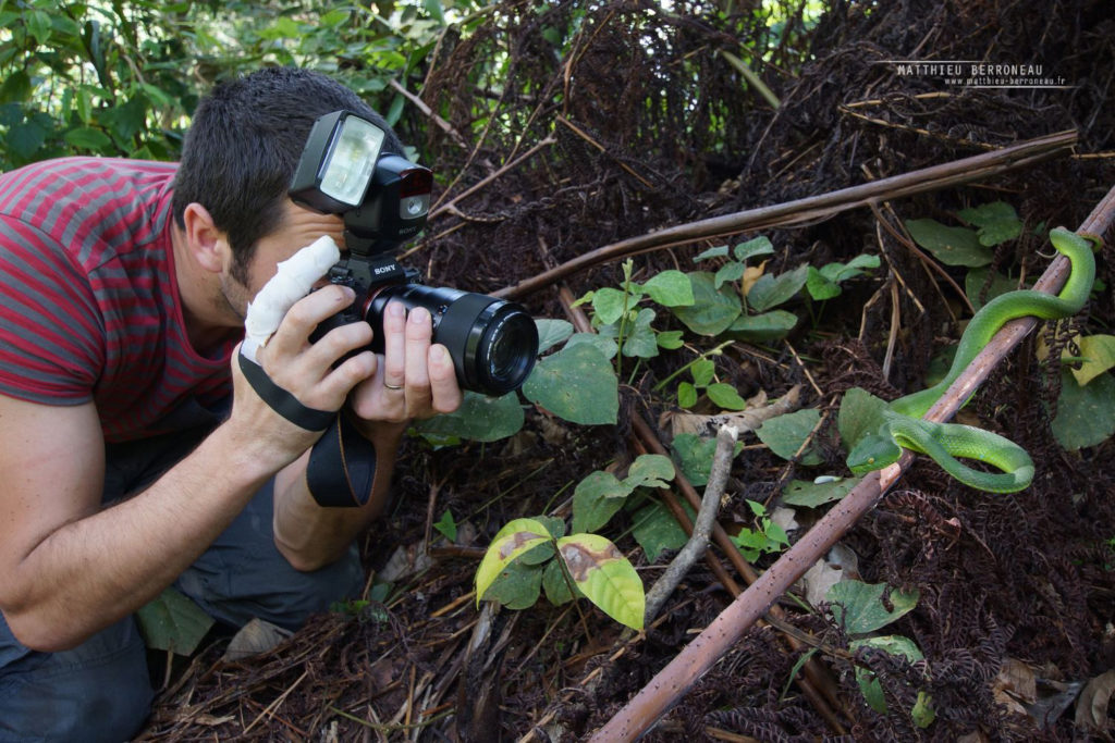 Voici le genre de photos qui nécessitent au minimum 90 mm de focale...