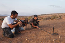 Naja haje legionis, Cobra égyptien, Egyptian cobra, Morocco, Maroc, Desert, sable, Matthieu Berroneau