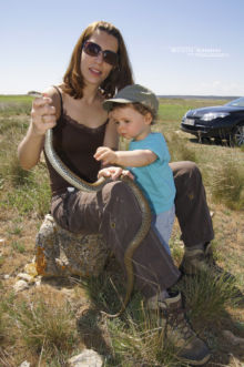 Enfant, kid, children, snake, serpent, manipulation, main, hand, education, sensibilisation