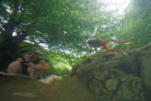 Rana pyrenaica, Pyrenean frog, Grenouille des Pyrénées, France, Matthieu Berroneau, underwater