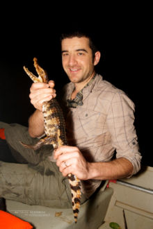 Caïman rouge, Paleosuchus palpebrosus, Guyane, caiman, Matthieu Berroneau