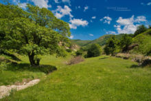 Habitat, Natrix astreptophora, Aldudes, Landscape, Matthieu Berroneau