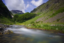 stream, ruisseau, rivière, habitat, landscape, paysage, montagne, mountain, Pyrénées, Matthieu Berroneau