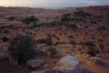 désert, desert, Maroc, Morocco, landscape, paysage, habitat, Cerastes vipera, Matthieu Berroneau