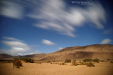 Réservoir marocain, piège à reptiles, Maroc, Morocco, Matthieu Berroneau, habitat