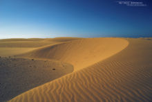 désert, desert, Maroc, Morocco, landscape, paysage, habitat, Cerastes vipera, Matthieu Berroneau