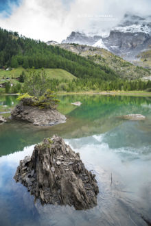 Laquet, Lac de Derborence, Suisse, lac, habitat, landscape, paysage, montagne, mountain, Alpes, Matthieu Berroneau