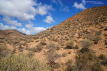 Réservoir marocain, piège à reptiles, Maroc, Morocco, Matthieu Berroneau, habitat