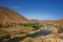 Réservoir marocain, piège à reptiles, Maroc, Morocco, Matthieu Berroneau, habitat