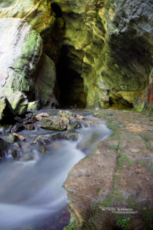 Paradactylodon persicus, Gorgan Cave Salamander, Iran, Matthieu Berroneau, habitat, cave, grotte, landscape, milieu