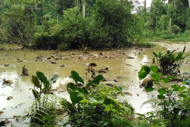 River in Banco National Parc...