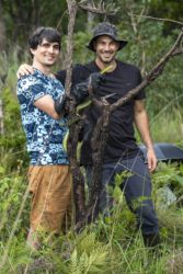 Dendroaspis jamesoni