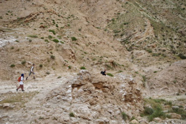 Habitats, Iran, Trips
