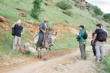 Iran0140MBerroneau
