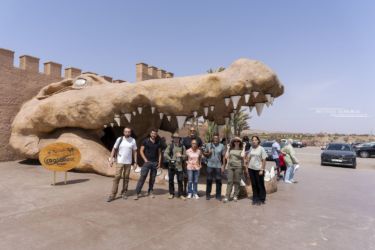 MarocExpeVaranusBerroneau007