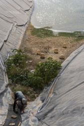 MarocExpeVaranusBerroneau019