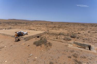 MarocExpeVaranusBerroneau037