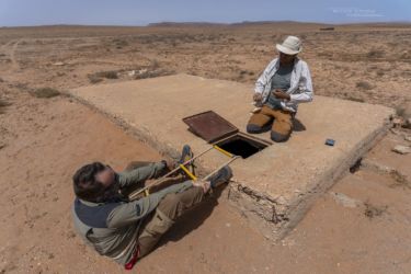 MarocExpeVaranusBerroneau041