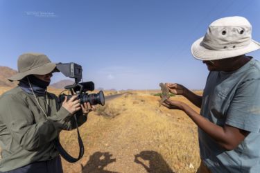 MarocExpeVaranusBerroneau042