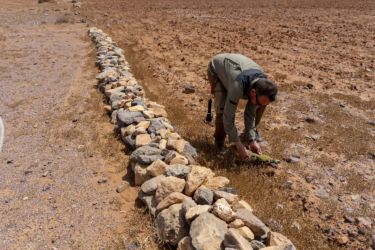 MarocExpeVaranusBerroneau044