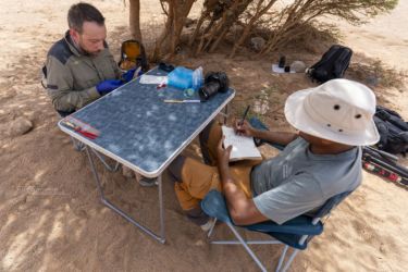MarocExpeVaranusBerroneau064