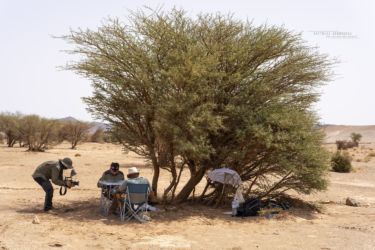 MarocExpeVaranusBerroneau082