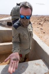 MarocExpeVaranusBerroneau092