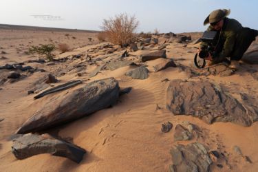 MarocExpeVaranusBerroneau131