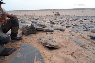 MarocExpeVaranusBerroneau133