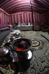 MarocExpeVaranusBerroneau136