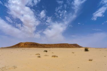 MarocExpeVaranusBerroneau147
