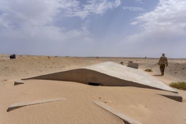 MarocExpeVaranusBerroneau149